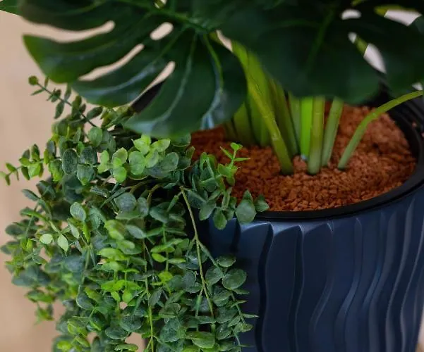 Aqua Blue Bridge Apartments&spa Z Basenem Epapartamenty Apartament